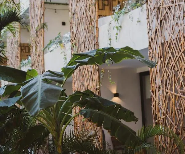 Hotel Jade